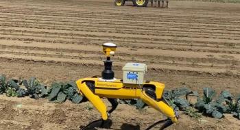 Corteva Agriscience використовує мобільних роботів для роботи з просапними культурами Рис.1