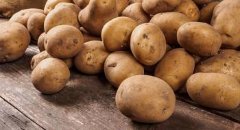 «Контінентал Фармерз Груп» передбачає потужності для мийки картоплі Рис.1