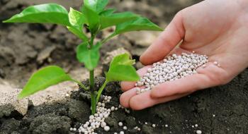 Нардеп озвучив основні переваги законопроекту про пестициди та хімікати для аграріїв Рис.1