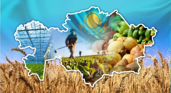 Уряд ухвалив постанову, за якою малі сільгоспвиробники зможуть отримати держпідтримку за 2019-2020 роки Рис.1