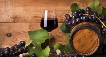 Вчені сповільнили дозрівання винограду, щоб поліпшити якість вина Рис.1