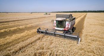 Через посуху врожайність ярої пшениці в США може знизитись на третину Рис.1