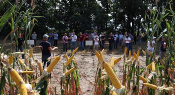 Digital Field-2021: визначено найефективніші технології живлення кукурудзи Рис.1