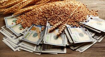Експорт зерна підтримуватиме стабільність курсу гривні,-думка Рис.1