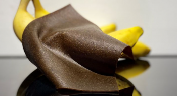 Французький стартап перетворює банани та манго на веганську шкіру Рис.1