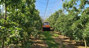 Ізраїльська технологія FruitSpec розроблена для прогнозування майбутнього врожаю фруктів Рис.1