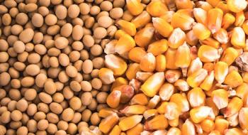 Низькі експортні продажі опускають ціни на пшеницю, сою та кукурудзу Рис.1