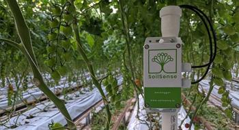 Стартап SoilSense розробив розумну систему зрошення для теплиць Рис.1