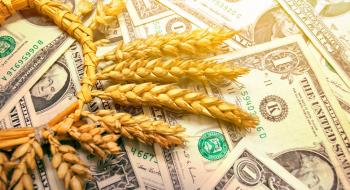 Україна відправила на експорт 3,8 млн тонн зерна Рис.1