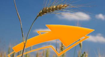Україна відправила на експорт понад 6 млн т зерна Рис.1