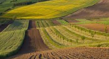 В Україні зареєстровано 9072 земельні угоди Рис.1