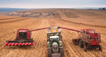 ДПЗКУ заготовила понад 200 тис. т зерна нового врожаю Рис.1