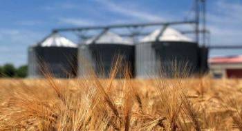 Експорт українського зерна наближається до 13 млн т Рис.1