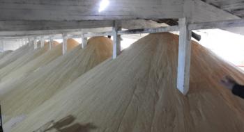 Гнідавський цукровий завод планує переробити близько 400 тис. т буряків Рис.1