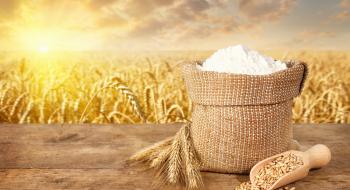 Кон'юнктура ринку сировини підігріває ціни на пшеничне борошно в Україні Рис.1