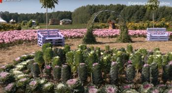 У Волинській області проходить фестиваль квітів Рис.1