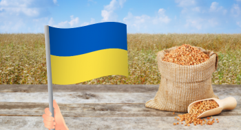 Україна збере найбільший за останні роки урожай гречки,- прогноз Рис.1