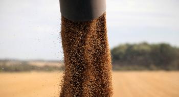 Українські аграрії зібрали історичний максимум врожаю зернових Рис.1