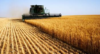 В Україні закупівельні ціни на пшеницю зростають всупереч світовим Рис.1