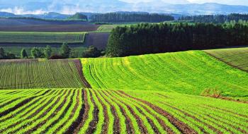 В Україні зареєстровано 20 392 земельні угоди Рис.1
