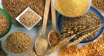 З України експортували 9,1 млн тонн зерна Рис.1