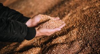 Аграрні асоціації виступили проти нової інструкції щодо обліку зерна Рис.1