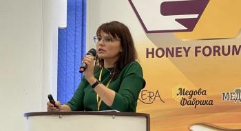 Експорт меду з України зменшився вдвічі Рис.1