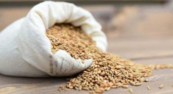 Низькі темпи експорту посилюють тиск на пшеничні котирування Рис.1