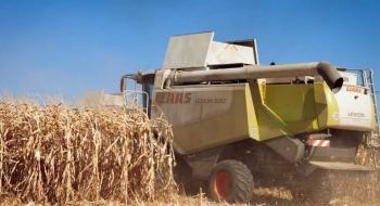У KSG Agro стартувало прибирання кукурудзи та сівба озимих Рис.1