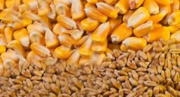 USDA переглянуло прогноз світового виробництва пшениці та кукурудзи Рис.1
