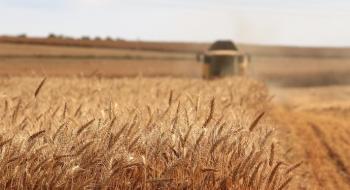 В Україні намолотили більше чотирьох мільйонів зерна Рис.1