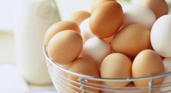 В Україні суттєво зменшилось виробництво яєць Рис.1