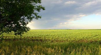 В Україні зареєстровано 26 898 земельні угоди Рис.1