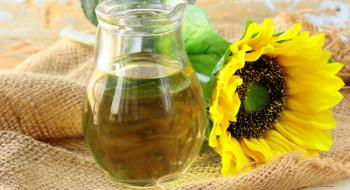 Виробництво соняшникової олії в Україні збільшиться майже на чверть Рис.1