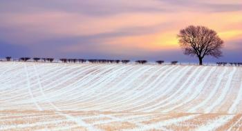 Які погодні сюрпризи підготує наступна зима для аграріїв Рис.1
