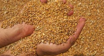 Закупівельні ціни на пшеницю в портах України виросли до 300 $/т Рис.1
