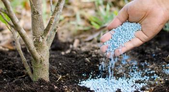 Затримки санітарно-епідеміологічної експертизи щодо агрохімікатів можуть зірвати весняну посівну в Україні – ЄБА Рис.1