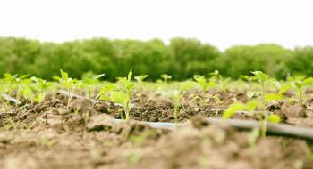 NASA Harvest досліджує нові методи моніторингу вологості ґрунту Рис.1