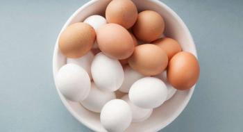 Німецький стартап Perfeggt організовує виробництво яєць з соєвих бобів Рис.1