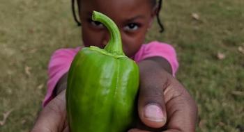 6-річна дівчинка стала наймолодшою сертифікованою фермеркою в США Рис.1