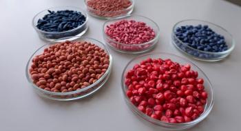 Експерти UKRAVIT розповіли, як не купити неякісне насіння та не залишитись без урожаю Рис.1