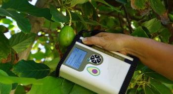 Компанія Felix Instruments представила вимірювач якості авокадо Рис.1