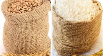 Нова техніка щеплення може боротися з хворобою, що загрожує пшениці та рису Рис.1