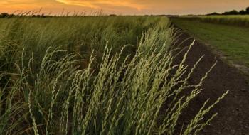 Органічним фермерам Канади розповіли про захисні кола з кернзи Рис.1
