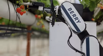 Organifarms випустила прототип робота для прибирання полуниці BERRY Рис.1