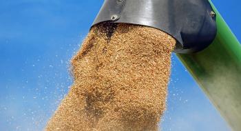 Посушлива погода у США сприяє спекулятивному зростанню цін на пшеницю Рис.1