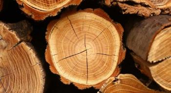 Тепер усі лісокористувачі повинні користуватися системою електронного обліку деревини,- Міндовкілля Рис.1