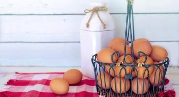 В Україні скоротилося виробництво яєць на 13,5% Рис.1