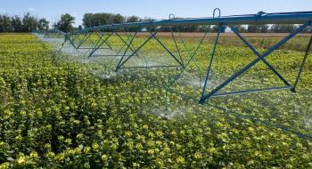 Variant Irrigation здійснює 60% експортних продажів через дилерську мережу Рис.1