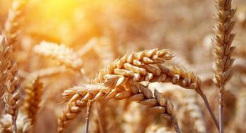 З початку 2021/2022 МР Україна експортувала близько 26,1 млн. тонн зерна Рис.1